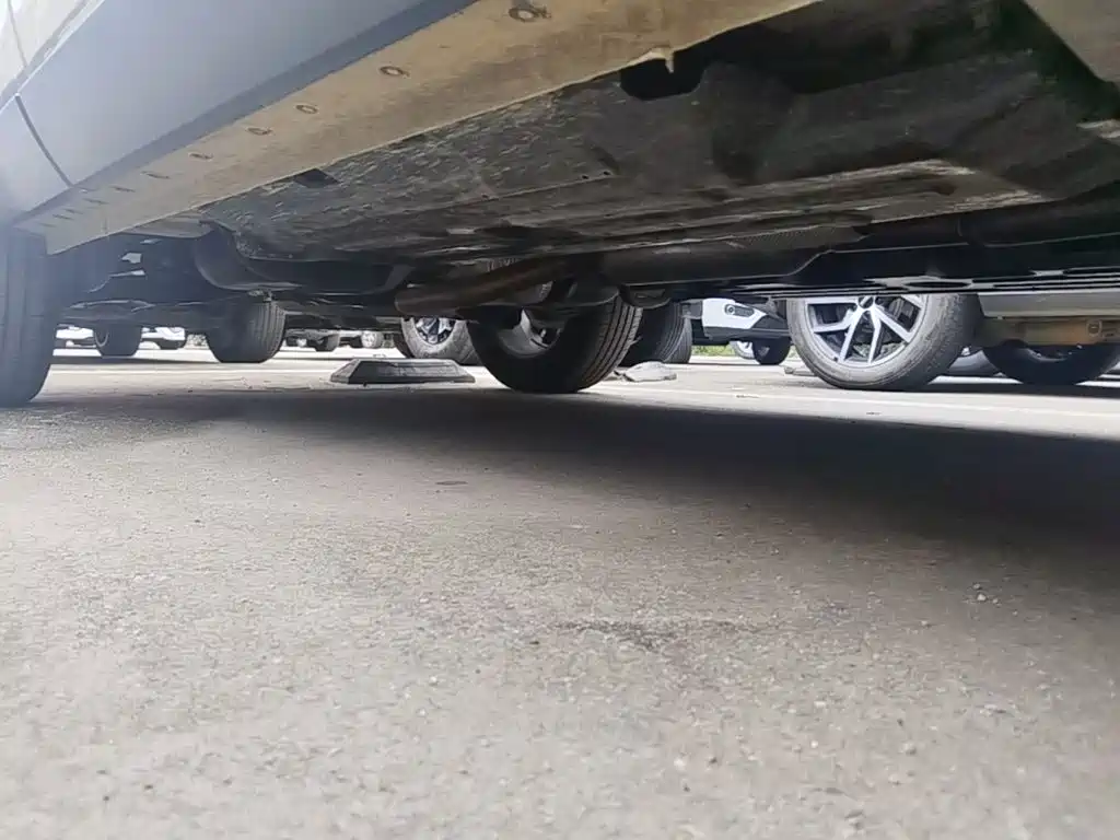 Haval Big Dog PLUS — миниатюра 19