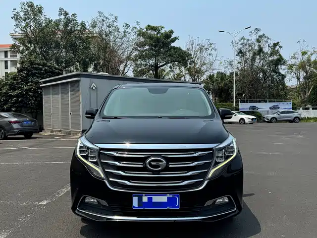 2019 GAC GN8