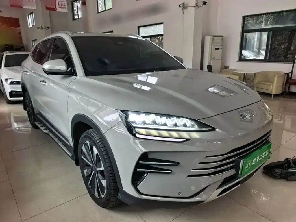 BYD PLUS New Energy — миниатюра 4