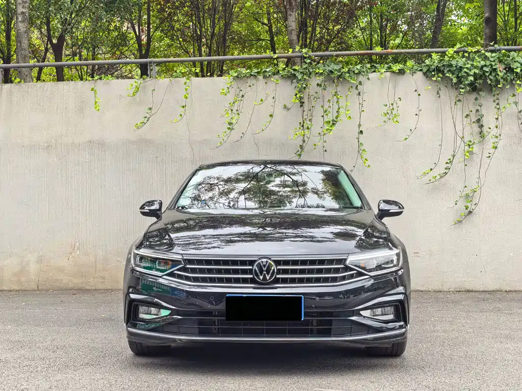 Volkswagen Magotan — миниатюра 2