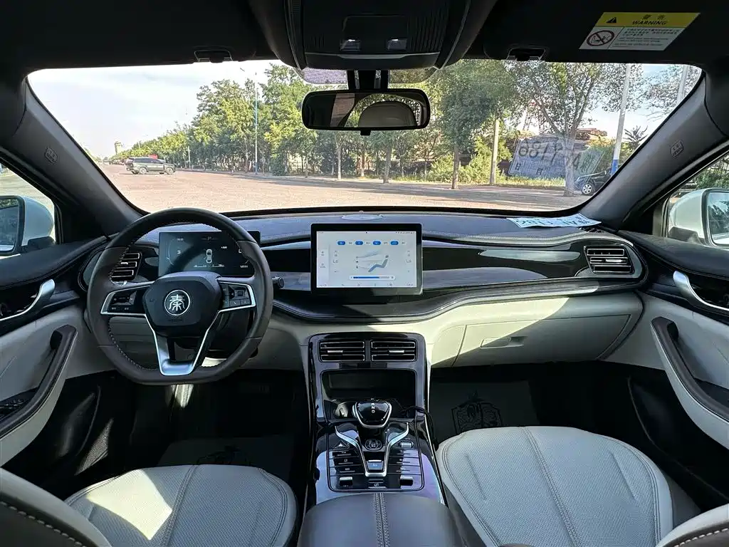 BYD Qin Plus PLUS 2023 Champion DM-i 55KM Lead
