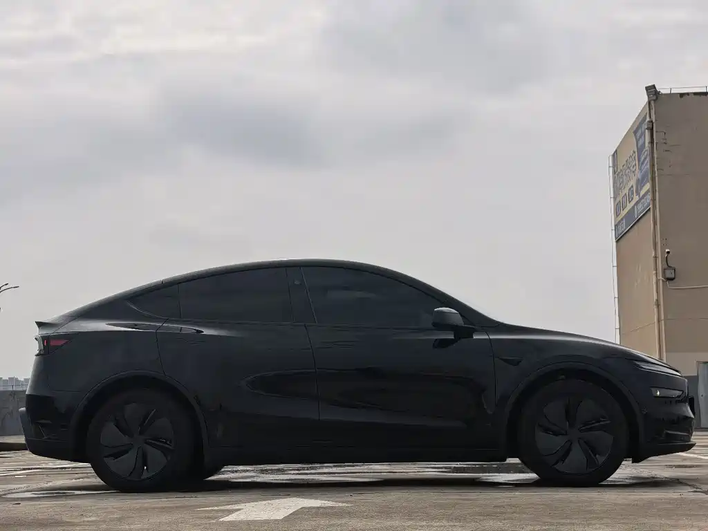 Tesla Model Y — миниатюра 4