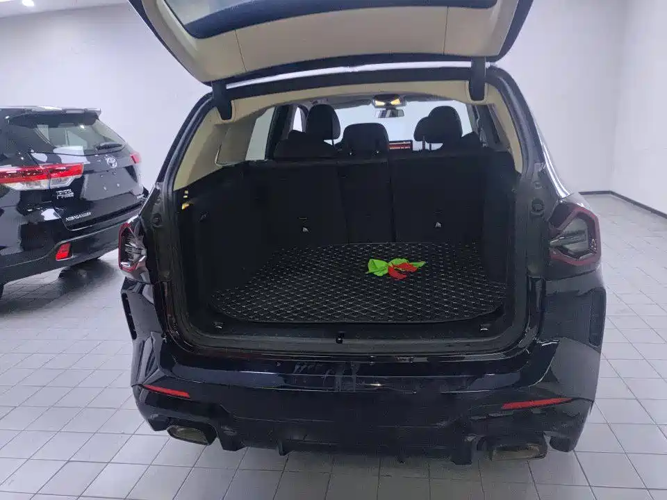 BMW X3 — миниатюра 8