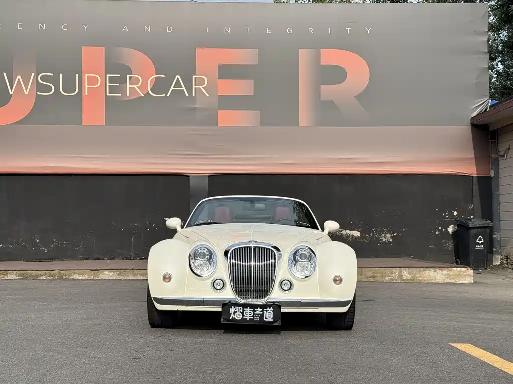 Mitsuoka Queen — миниатюра 2
