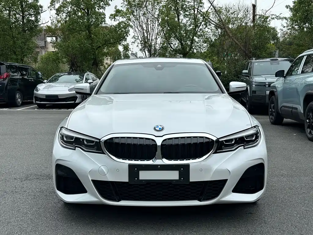 BMW 3 Series — миниатюра 2