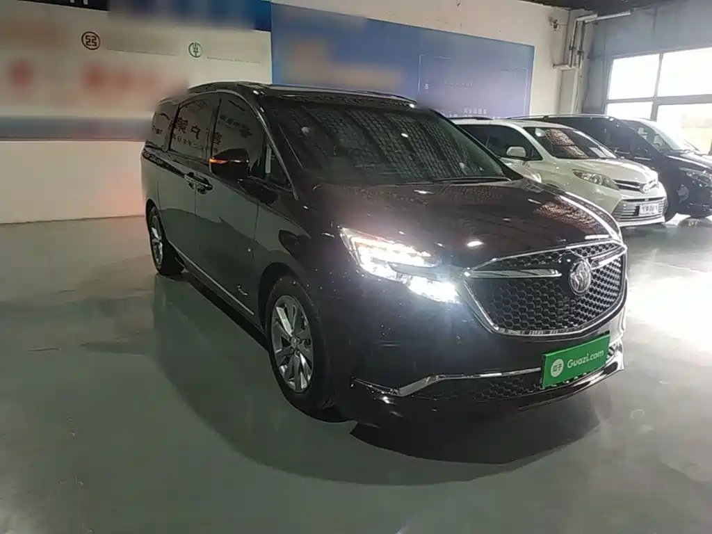 Buick GL8 — миниатюра 4