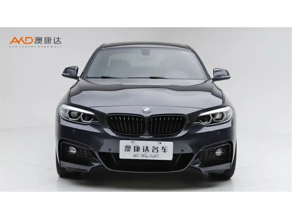 BMW 2 Series 2 2019 225i Premium M Sport