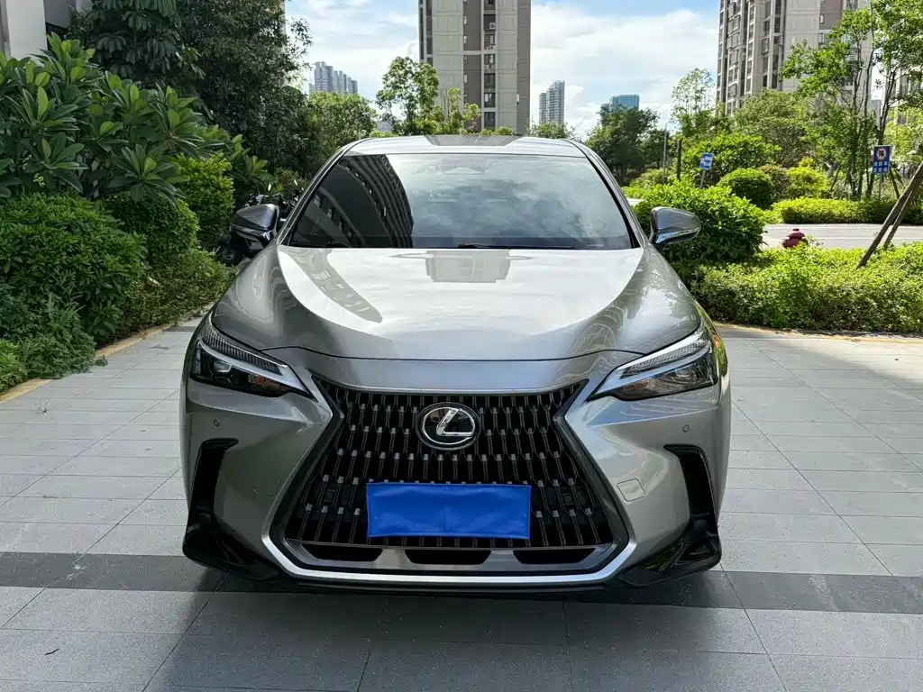 Lexus NX — миниатюра 2