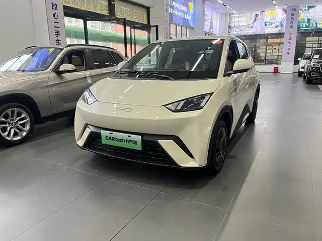 2024 BYD Seagull