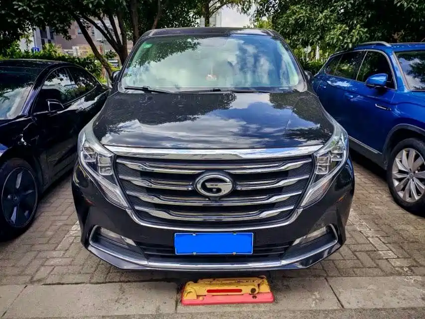 GAC Motor Trumpchi M8 — миниатюра 2