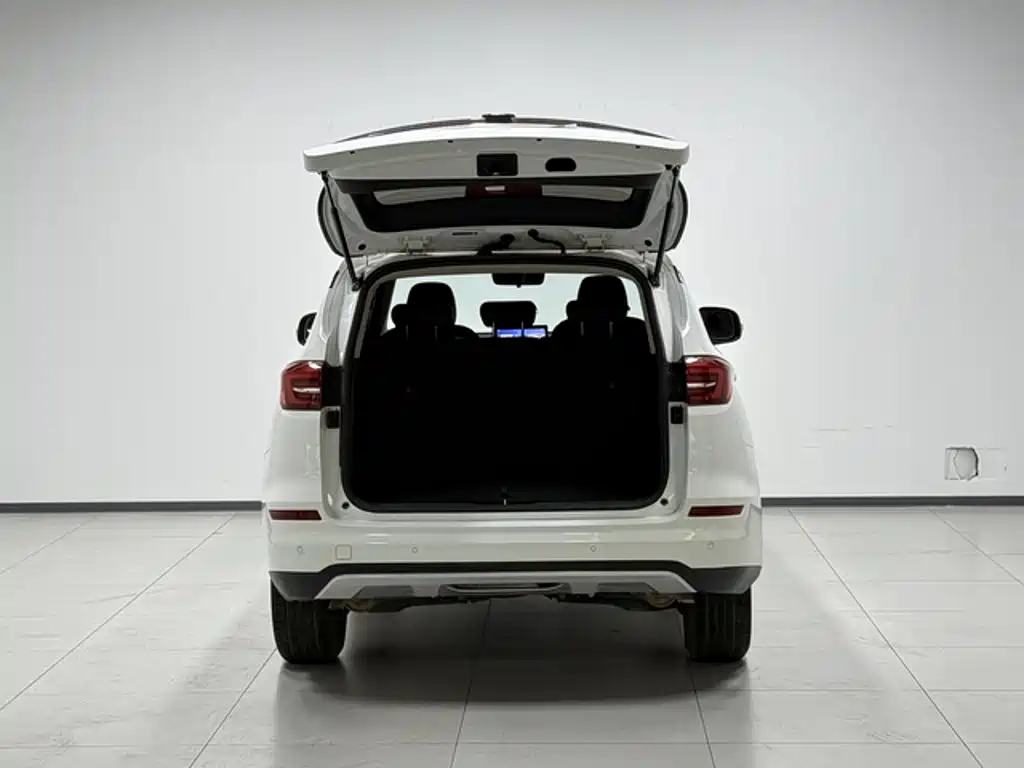 BYD Song — миниатюра 10