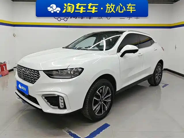 WEI PAI WEI BRAND VV5