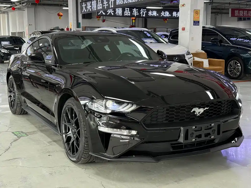 Ford Mustang — миниатюра 3