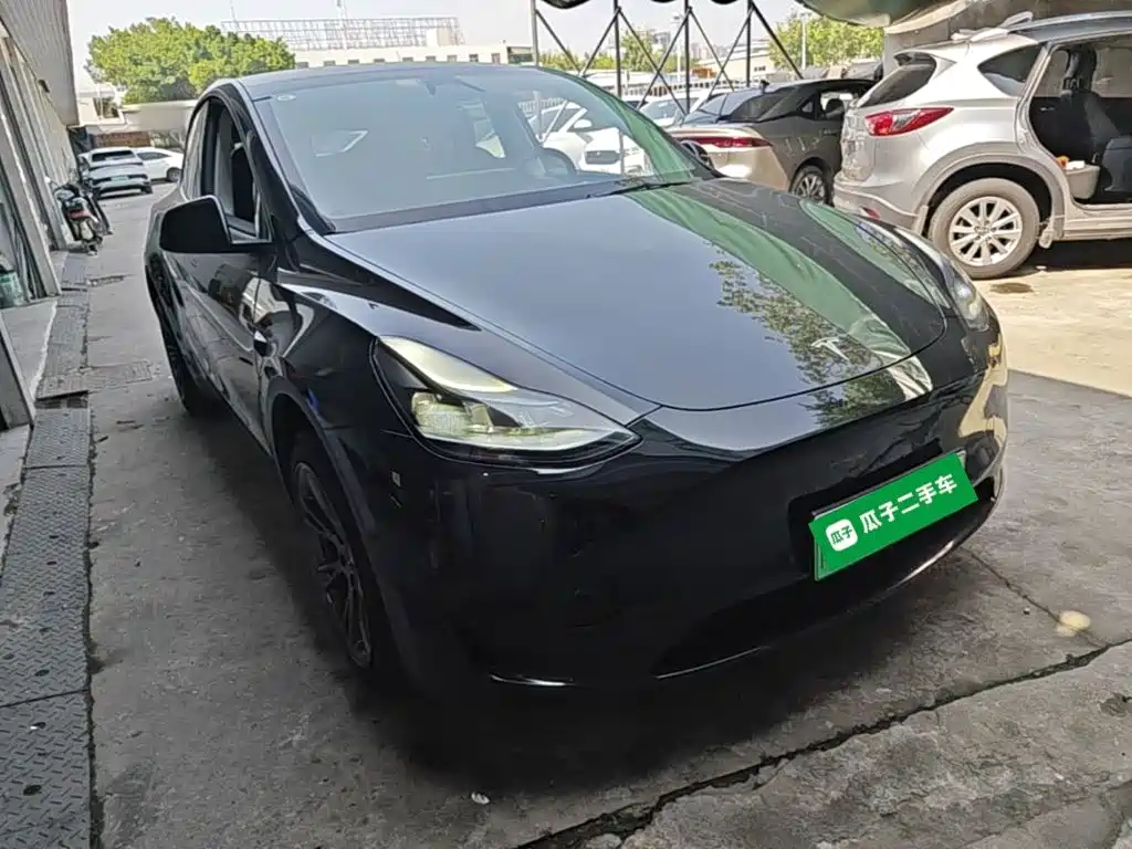 Tesla Model Y — миниатюра 4