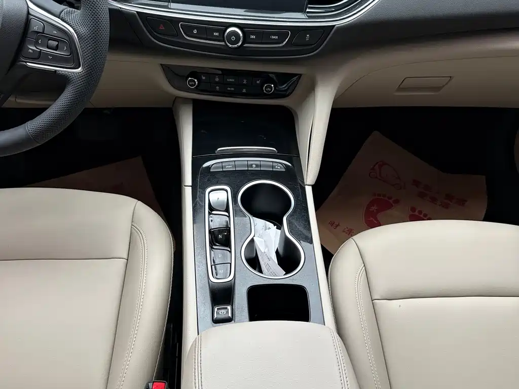 Buick Regal — миниатюра 11