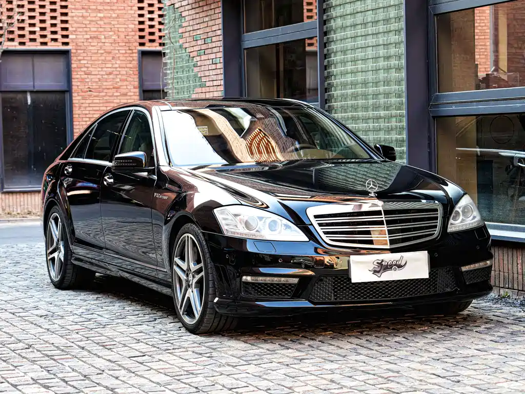Mercedes-Benz S-Class A MG S AMG 2010 AMG S 65