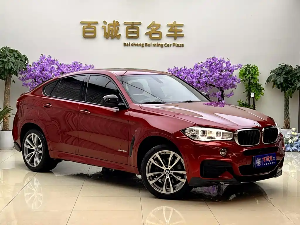 BMW X6 — миниатюра 3