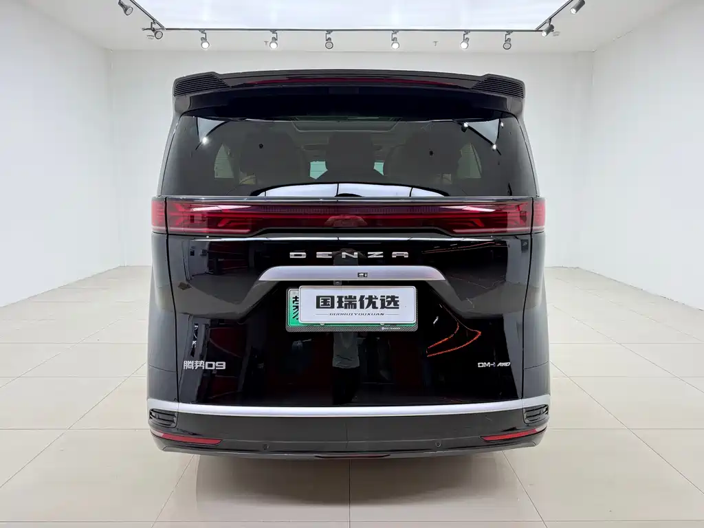 Denza Denza D9 — миниатюра 5