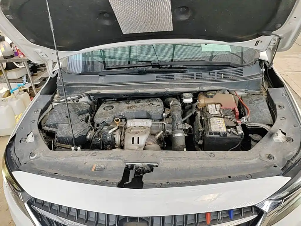 Buick GL6 — миниатюра 20