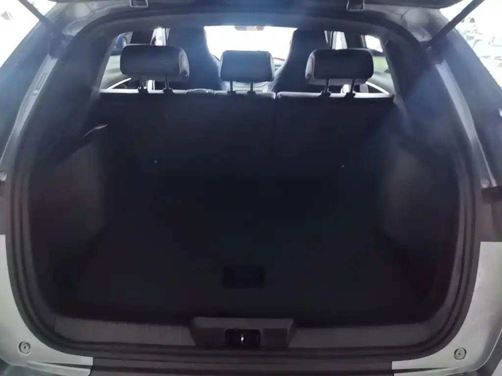 BYD PLUS New Energy — миниатюра 19