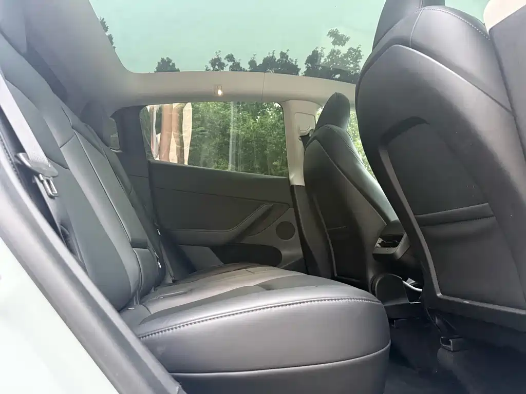 Tesla Model Y — миниатюра 10