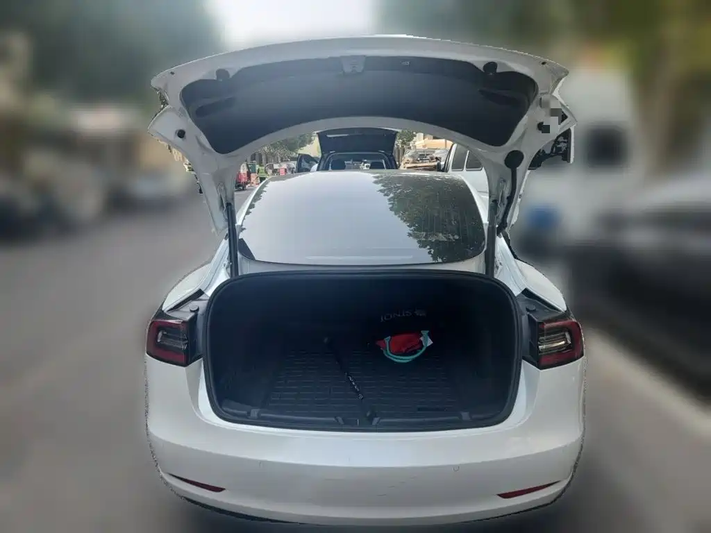 Tesla Model 3 — миниатюра 20
