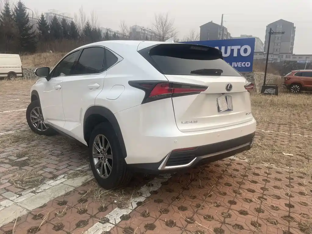 Lexus NX 200 FWD Edge Travel Edition China V, фото 5