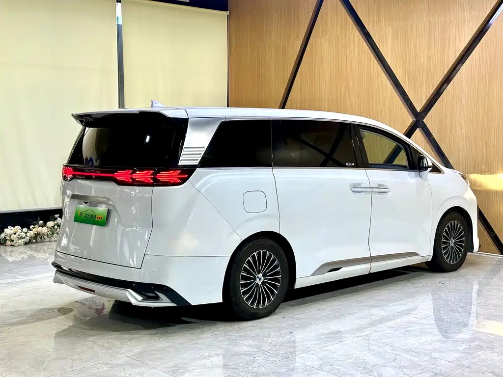 Denza Denza D9 — миниатюра 26