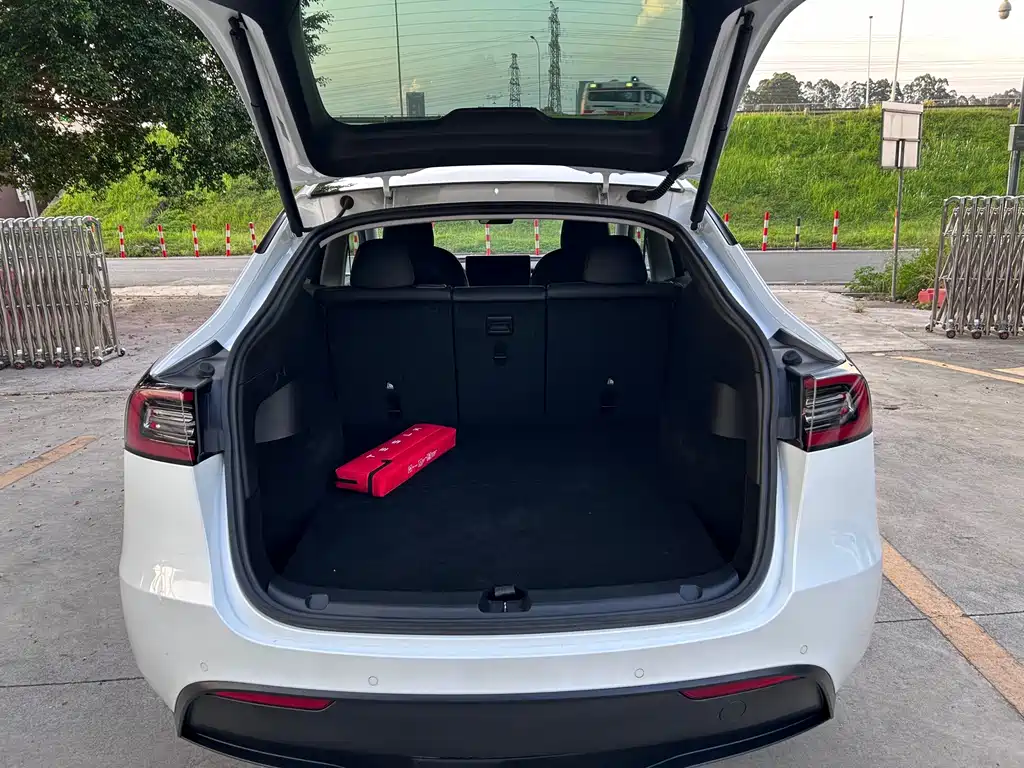 Tesla Model Y — миниатюра 8