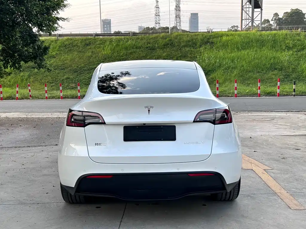 Tesla Model Y — миниатюра 10