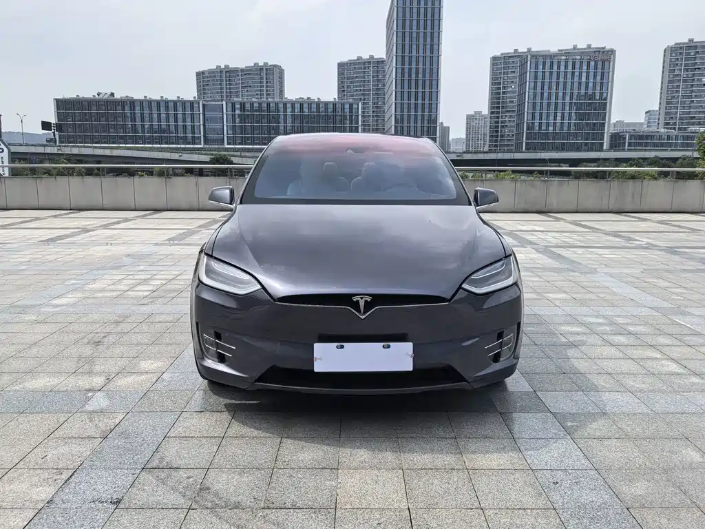 Tesla Model X — миниатюра 2