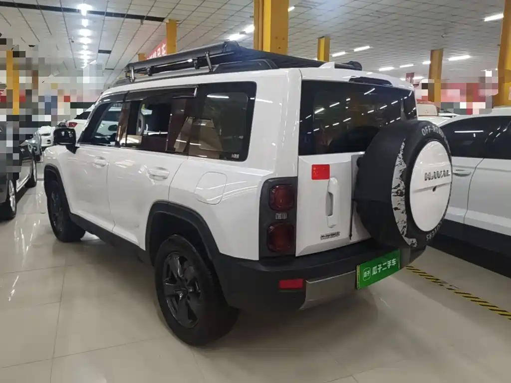 Haval Menglong New Energy — миниатюра 5