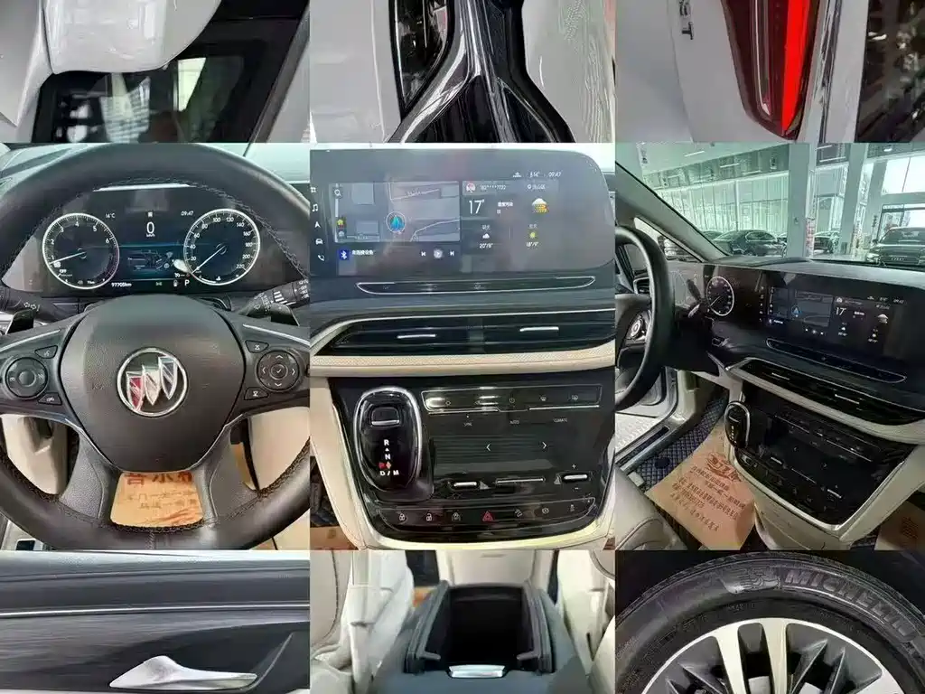 Buick GL8 ES LandKing 653T Luxury Type, фото 9