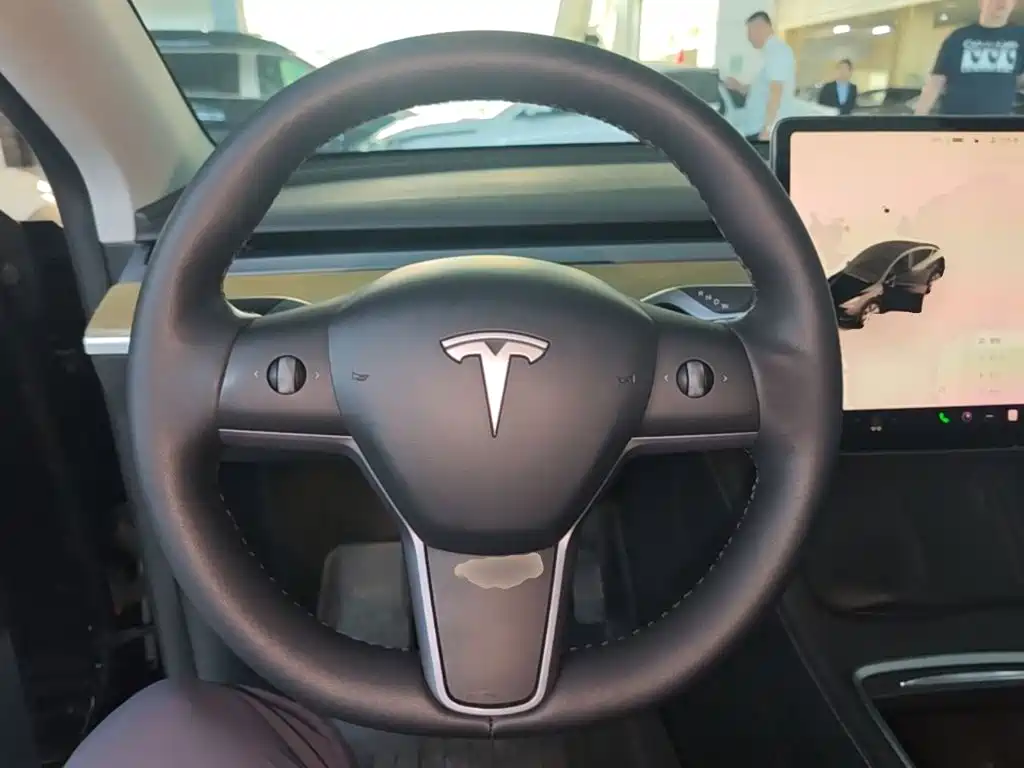 Tesla Model Y — миниатюра 11