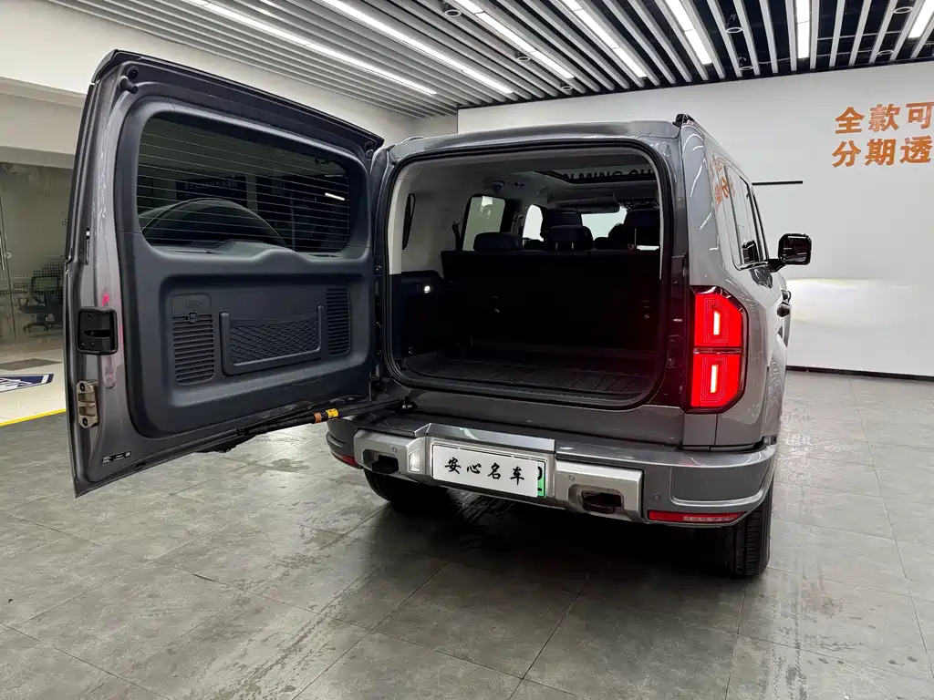 FANG CHENG BAO LEOPARD 5