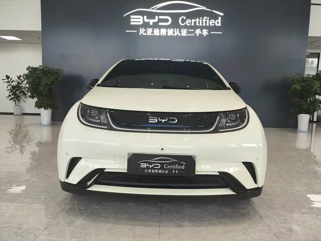 BYD Dolphin — миниатюра 2