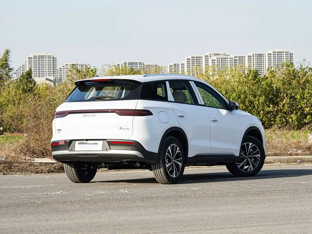 BYD Pro New Energy — миниатюра 2