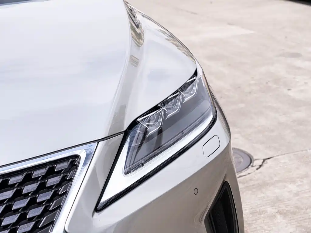 Lexus RX 2020 450h Luxury VI
