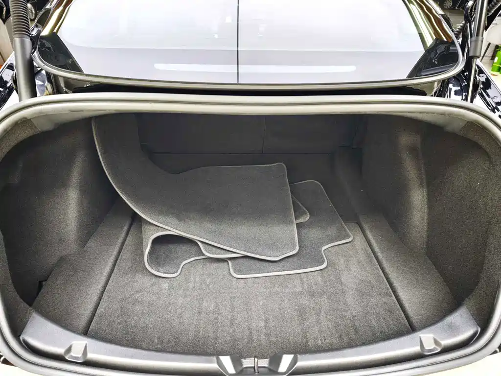 Tesla Model 3 — миниатюра 23