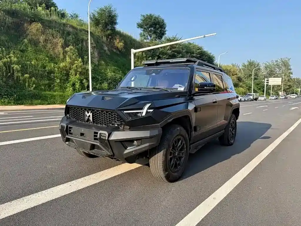 Mengshi Mengshi 917