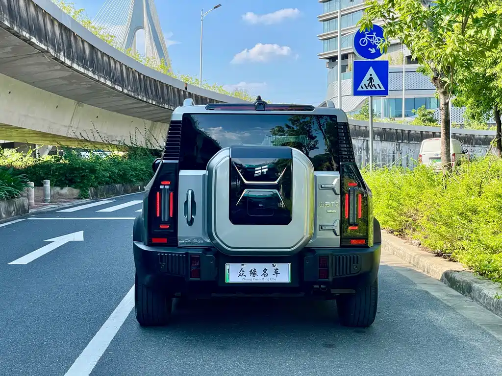 Shanhai Traveller C-DM — миниатюра 6