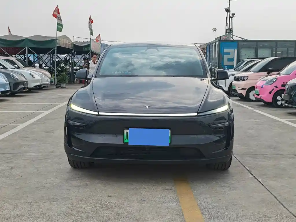 Tesla Model Y — миниатюра 2