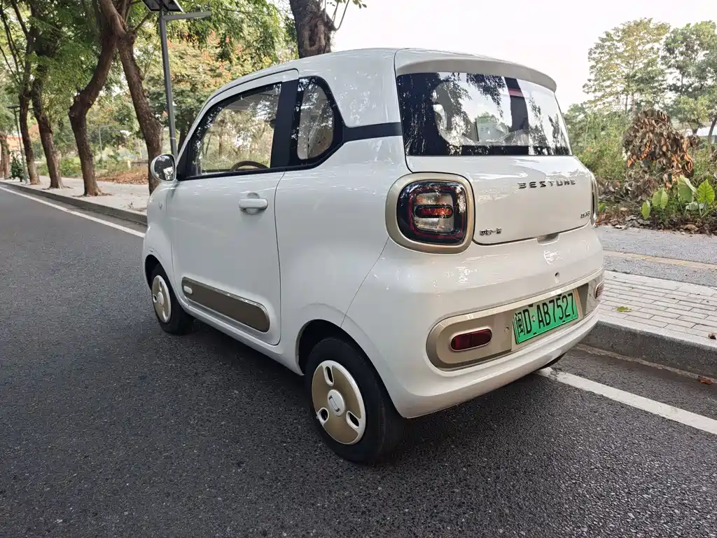 BESTUNE PENTIUM PONY