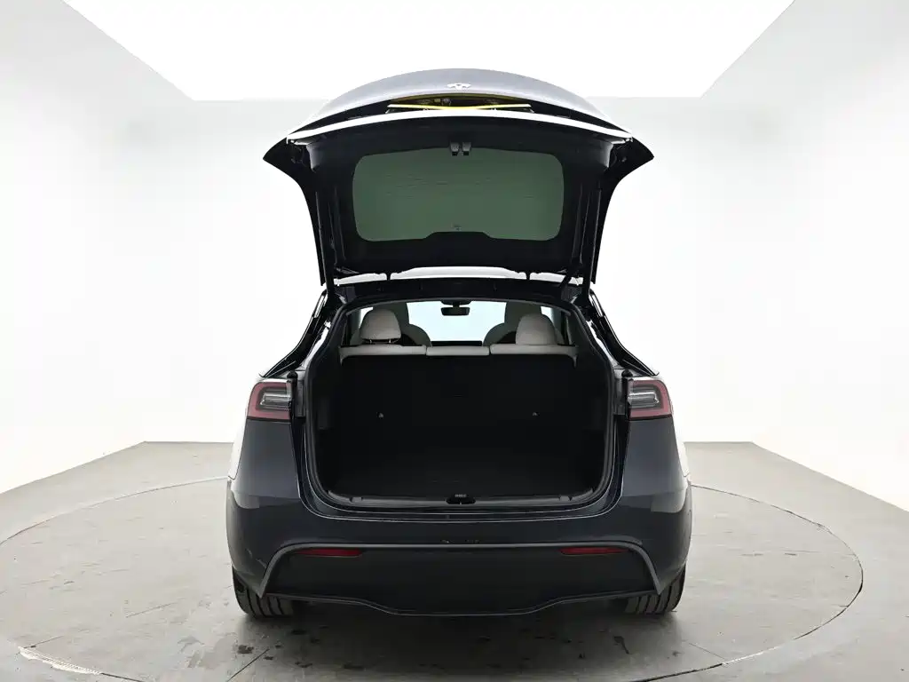 Tesla Model Y — миниатюра 8