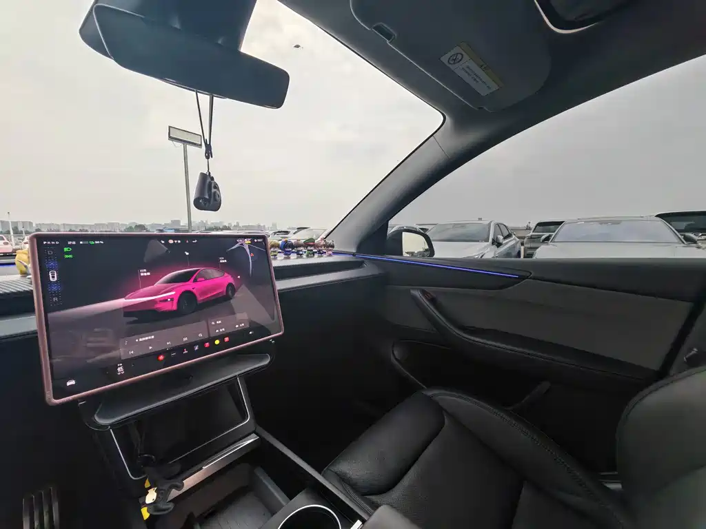 Tesla Model Y — миниатюра 20