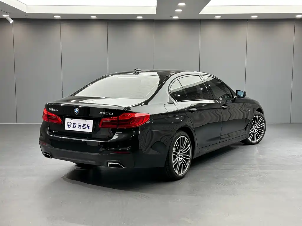 BMW 5 Series — миниатюра 4