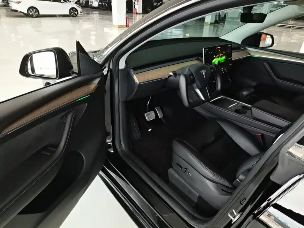 Tesla Model Y — миниатюра 16