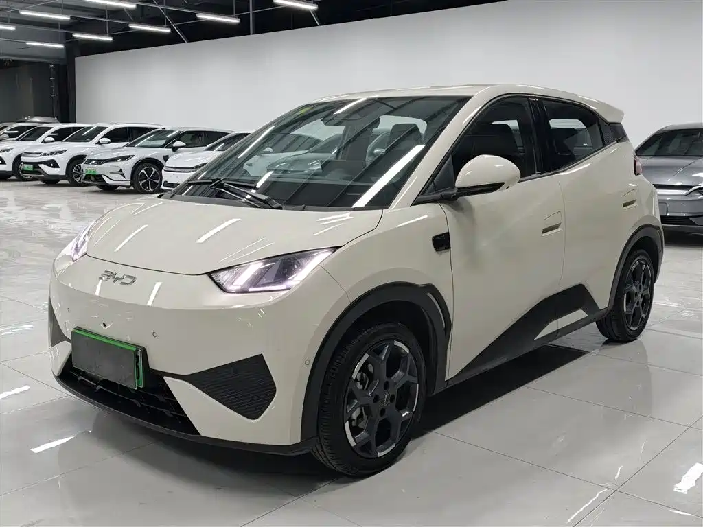Byd Seagull 2025