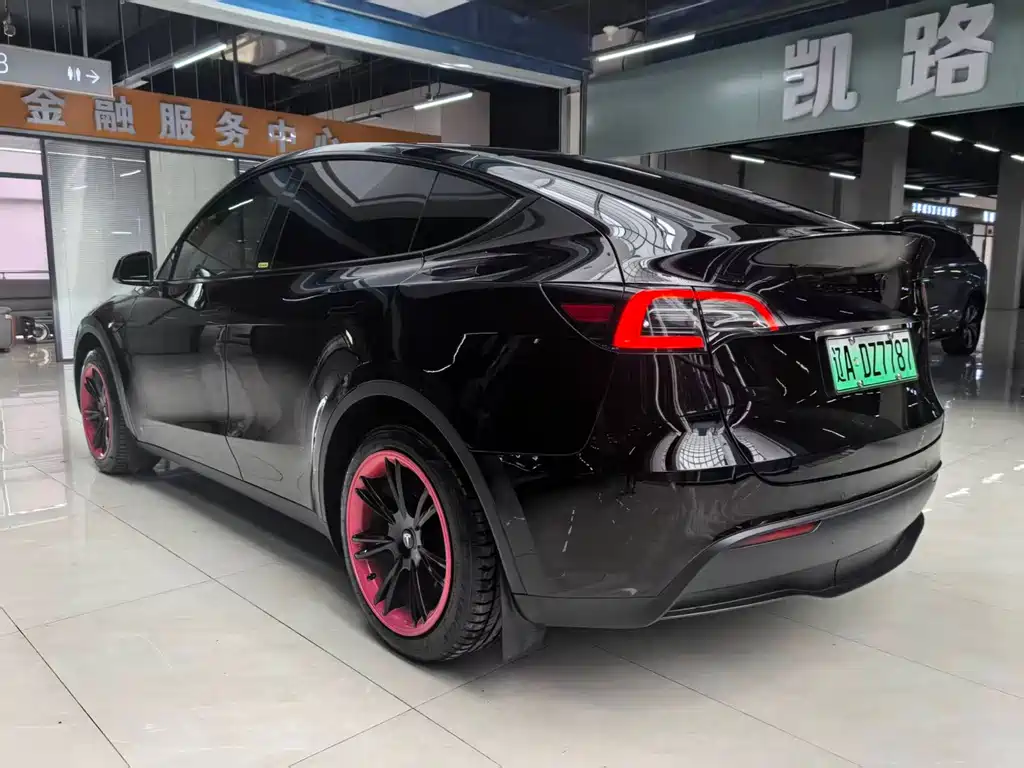 Tesla Model Y — миниатюра 6