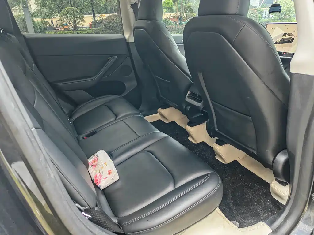 Tesla Model Y — миниатюра 15